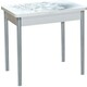 Стол обеденный Катрин Бронкс поворотно раскладной, с фотопечатью, бетон белый, цветы 018, опора круглая серебристый металлик