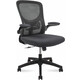 Офисное кресло NORDEN Flex A9(black) черный пластик / серая сидушка / серая спинка
