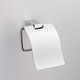 Держатель туалетной бумаги Schein Swing с крышкой, хром (326B)