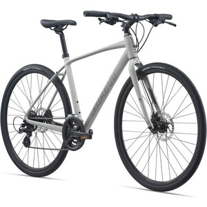 Велосипед Giant Escape 2 Disc (2021) серый L