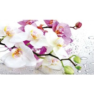 Стол обеденный Катрин Нью-йорк раздвижной, с фотопечатью, бетон белый, орхидея 0195, опора круглая муар белый
