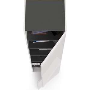 Шкаф Моби Сидней корпус белый/чёрный, фасад белый глянец (13.200)