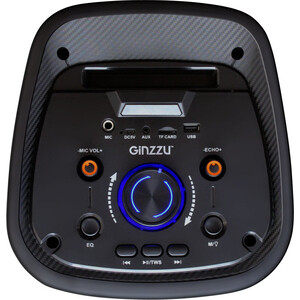 Портативная колонка Ginzzu GM-218, TWS/BT/USB/TF/FM/ ДУ