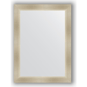 Зеркало в багетной раме поворотное Evoform Definite 54x74 см, травленое серебро 59 мм (BY 0632)