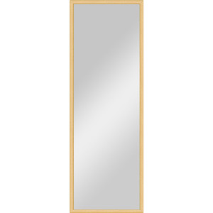 Зеркало в багетной раме поворотное Evoform Definite 48x138 см, сосна 22 мм (BY 0704)