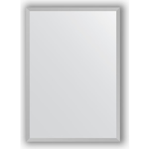 Зеркало в багетной раме поворотное Evoform Definite 46x66 см, хром 18 мм (BY 3033)