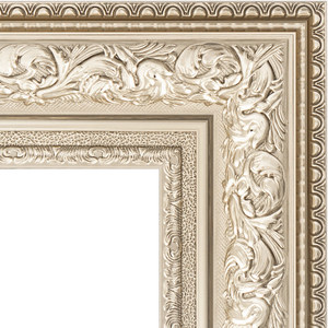 Зеркало напольное с фацетом Evoform Exclusive Floor 85x205 см, в багетной раме - виньетка серебро 109 мм (BY 6136)