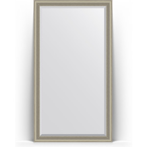 Зеркало напольное с фацетом Evoform Exclusive Floor 111x201 см, в багетной раме - хамелеон 88 мм (BY 6160)