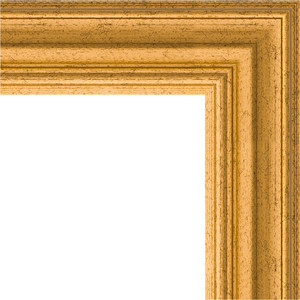 Зеркало с гравировкой поворотное Evoform Exclusive-G 62x85 см, в багетной раме - состаренное золото 67 мм (BY 4087)