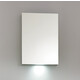 Зеркальный шкаф BelBagno 50 с подсветкой, белый (SPC-1A-DL-BL-500)