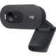 Веб-камера Logitech WebCam C505e черный 2Mpix USB2.0 с микрофоном для ноутбука