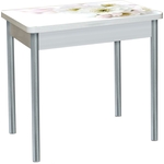 Стол обеденный Катрин Бронкс поворотно раскладной, с фотопечатью, бетон белый, цветы 029, опора круглая серебристый металлик