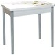 Стол обеденный Катрин Бронкс поворотно раскладной, с фотопечатью, бетон белый, цветы 029, опора круглая серебристый металлик
