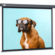 Экран для проектора Cactus 149.4x265.7 см Wallscreen CS-PSW-149X265-SG 16:9 настенно-потолочный рулонный серый