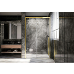 Душевая дверь Veconi Premium Trento PTD-30G 120х200 прозрачная, брашированное золото (PTD30-G-120-01-C4)