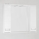 Зеркало-шкаф Style line Ирис 100 с подсветкой, белый (ЛС-00000175)