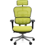 Кресло эргономичное Comfort Seating Group EHPE-AB-HAM (Д) KMD-34 ergohuman plus elite green