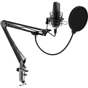 Настольный микрофон для записи голоса и вокала Ritmix RDM-169 USB - фото 1