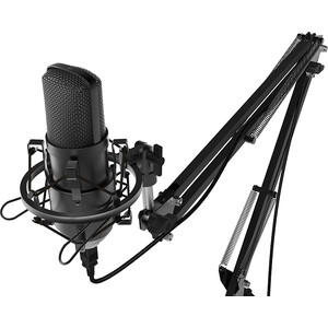 Настольный микрофон для записи голоса и вокала Ritmix RDM-169 USB - фото 2