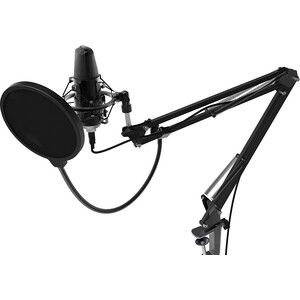 Настольный микрофон для записи голоса и вокала Ritmix RDM-169 USB - фото 3