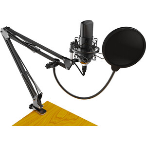 Настольный микрофон для записи голоса и вокала Ritmix RDM-169 USB - фото 4