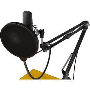 Настольный микрофон для записи голоса и вокала Ritmix RDM-169 USB - фото 5