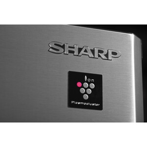 Холодильник Sharp SJ-EX93PSL - фото 5