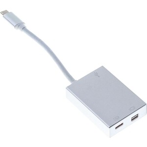 Адаптер Buro BHP USB Type-C (m) USB Type-C (f) miniDisplayPort (f) 0.1м серебристый переходник с кабелем bion mini display port vga 20m 15f bxp a dpm vgaf 001
