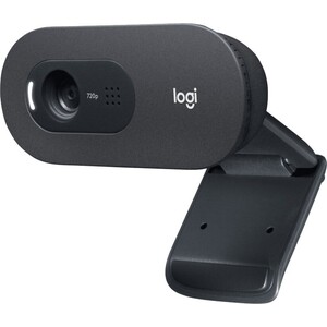 Веб-камера Logitech WebCam C505e черный 2Mpix USB2.0 с микрофоном для ноутбука