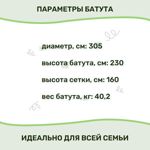 Батут Капризун с лестницей и внутренней сеткой 360 см зеленый (AL-in360-green)