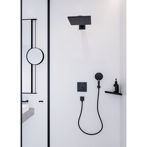 Ручной душ Hansgrohe Raindance Select S бронза (26530140)