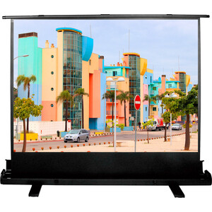 Экран Cactus 120x160 см FloorExpert CS-PSFLE-160X120 (CS-PSFLE-160X120) напольный рулонный экран cactus