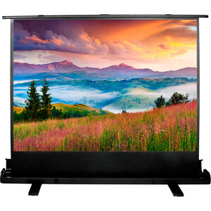 Экран Cactus 68x120 см FloorExpert CS-PSFLE-120X68 (CS-PSFLE-120X68) напольный рулонный экран cactus