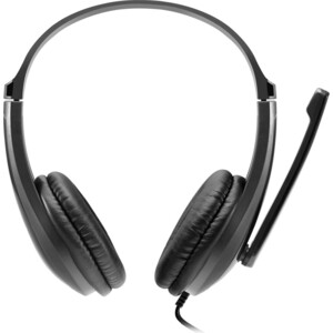 Гарнитура Canyon HSC-1 basic PC headset with microphone, combined 3.5mm plug, leather pads, Flat cable length 2.0m, 160*60*16 (CNS-CHSC1B)