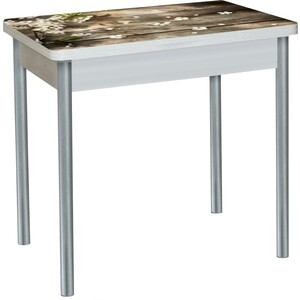 Стол обеденный Катрин Бронкс поворотно раскладной, с фотопечатью, бетон белый, цветы на досках, опора круглая серебристый металлик