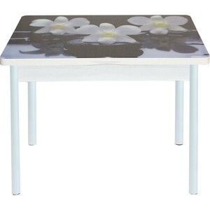 Стол обеденный Катрин Симпл поворотно раскладной, с фотопечатью, бетон белый, орхидея на черных камнях, опора круглая муар белый стол обеденный мебелик медисон белый