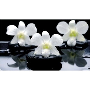 Стол обеденный Катрин Симпл поворотно раскладной, с фотопечатью, бетон белый, орхидея на черных камнях, опора круглая муар белый