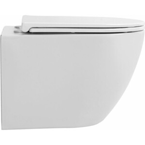 Унитаз подвесной безободковый Avimano Emotion с сиденьем микролифт, белый глянцевый (1000020)