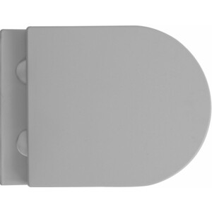 Унитаз подвесной безободковый Avimano Emotion с сиденьем микролифт, серый матовый (1000023)