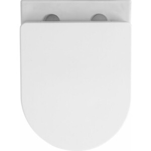 Унитаз подвесной безободковый Avimano Promotion с сиденьем микролифт, белый глянцевый (1000080)