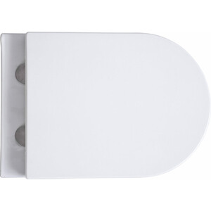 Унитаз подвесной безободковый Avimano Intuition с сиденьем микролифт, белый глянцевый (1001060)