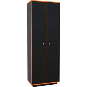 Шкаф 2х створчатый МДК Black Оранж (BL - СК2О) бархатцы прямостоячие антигуа оранж 15 шт