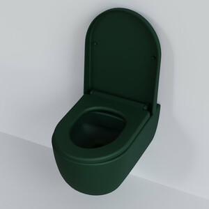 Сиденье для унитаза Ambassador Abner с микролифтом, матовое зеленое (102T20701)