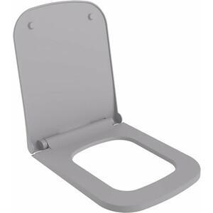 Сиденье для унитаза Ambassador Benefit с микролифтом, матовое серое (202T20301S) сиденье gray pro stand up серое 1040213