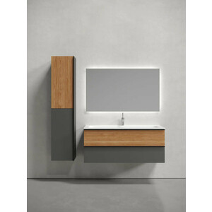 Мебель для ванной Sancos Delta 120х45 дуб красный/графит