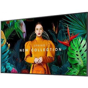 Панель Samsung 65" QM65C черный E-LED BLU LED 8ms 16:9 HDMI M/M матовая 500cd 178гр/178гр 3840x2160 4K USB 24.9кг