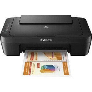 МФУ струйное Canon PIXMA MG2545S (0727C041)