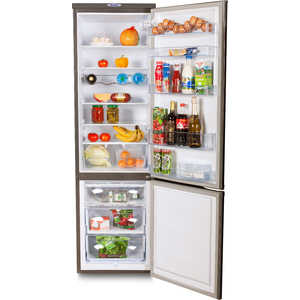 Холодильник DON R 295 G (графит)