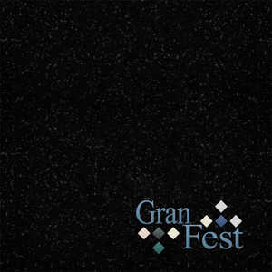 Дозатор для моющих средств GranFest 250 мл 308 002 черный