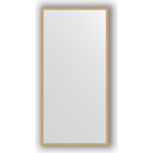 Зеркало в багетной раме поворотное Evoform Definite 48x98 см, сосна 22 мм (BY 0687)